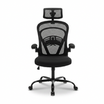 Chaise de bureau ergonomique en maille DeskZen Ergo Pro