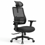 Chaise ergonomique DeskZen Flow noire, fond blanc