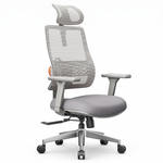Chaise ergonomique DeskZen Flow grise, fond blanc